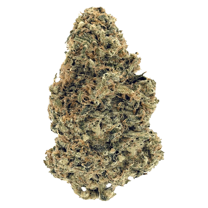 Top-down close-up of a dense bud of Premium Smalls against a plain light background, showing frosty trichomes and orange pistils.