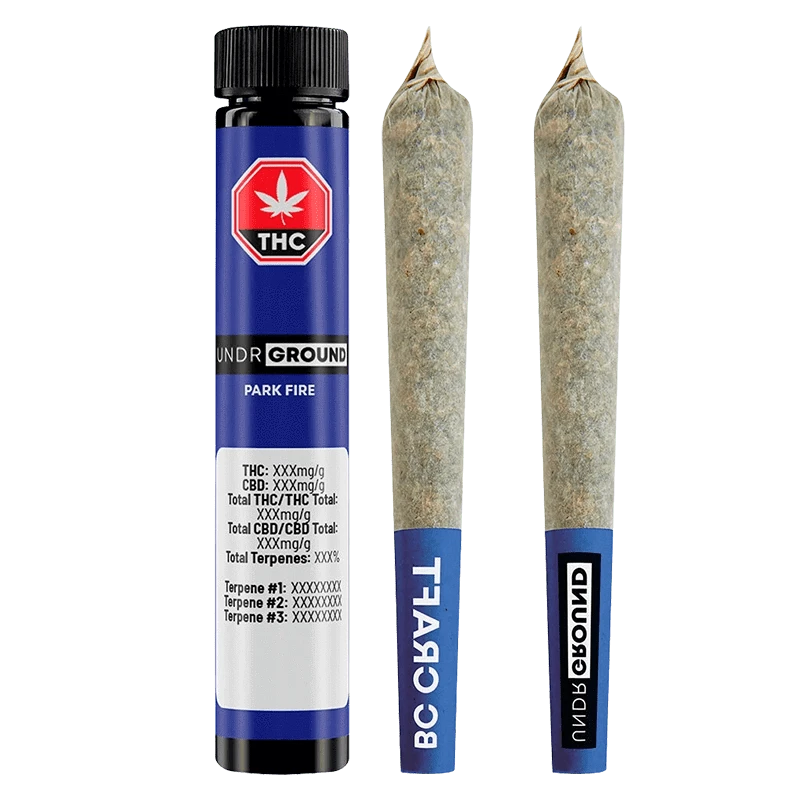 Three-quarter front view of a blue tube and two pre-rolled joints labeled "Park Fire PR 10 x 0.5 g" standing upright on a transparent background.
