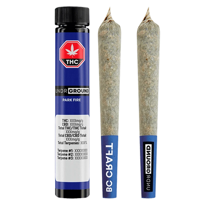 Three-quarter front view of a blue tube and two pre-rolled joints labeled "Park Fire PR 10 x 0.5 g" standing upright on a transparent background.