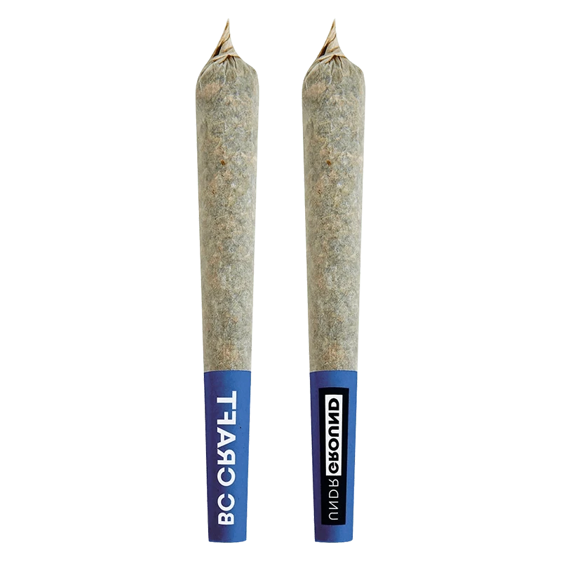 Two upright Park Fire PR 10 x 0.5 g pre-rolled joints photographed front-on against a plain background, showing blue logo tips and twisted paper ends