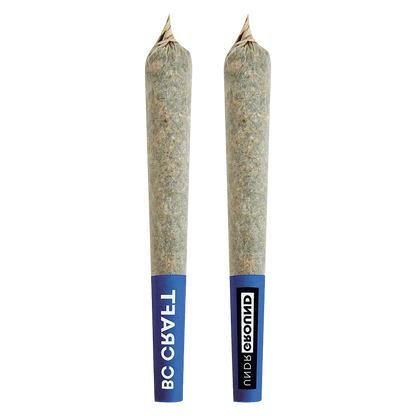 Two upright Park Fire PR 10 x 0.5 g pre-rolled joints photographed front-on against a plain background, showing blue logo tips and twisted paper ends