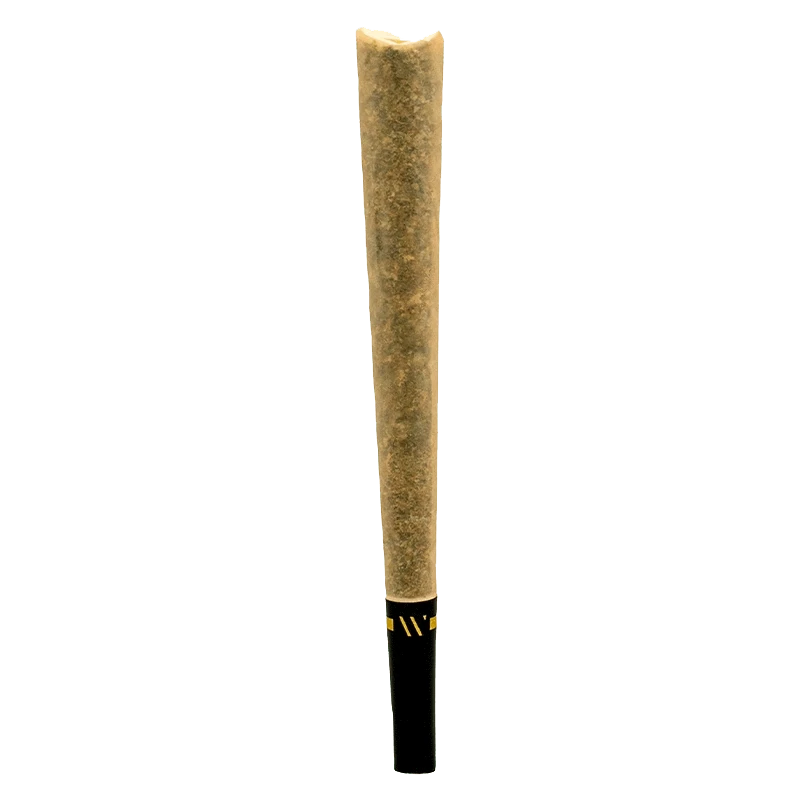 Center-aligned close-up of a single pre-rolled joint with a black tip, Lemon Shortcake Ceramic Tip PR 1 x 2 g.