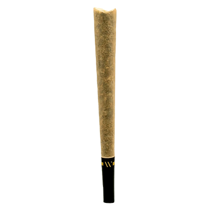 Center-aligned close-up of a single pre-rolled joint with a black tip, Lemon Shortcake Ceramic Tip PR 1 x 2 g.