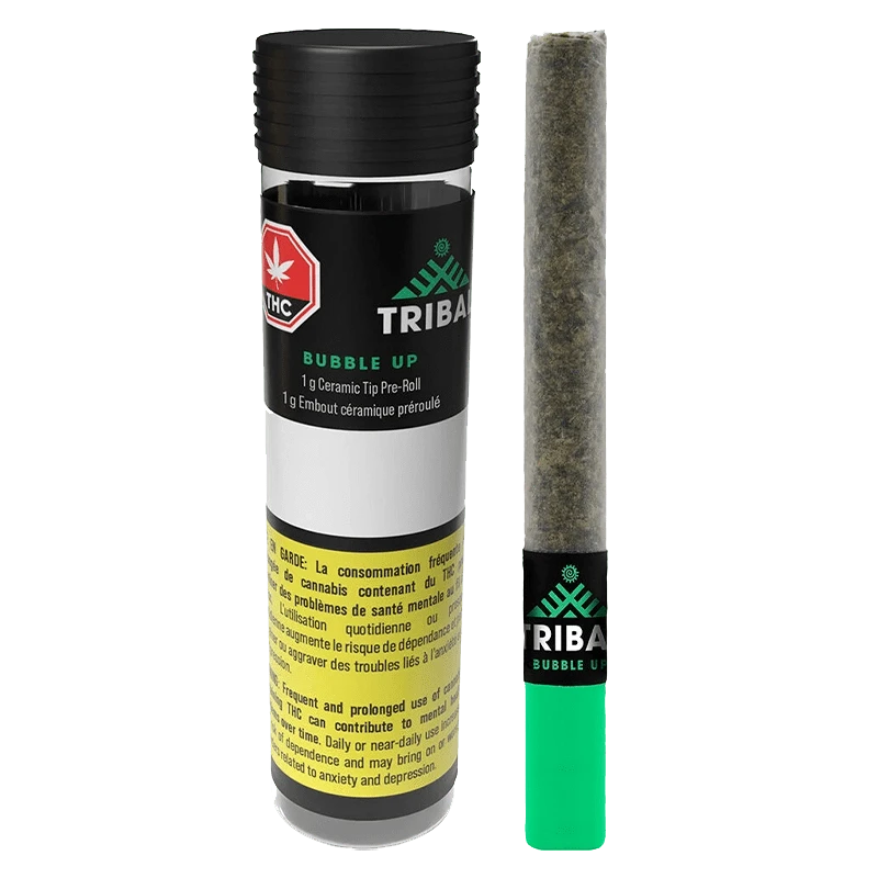 Right-side view of the Bubble Up Ceramic Tip PR 1 x 1 g pre-roll standing next to its black-lidded cylindrical tube, both shown on a white background.