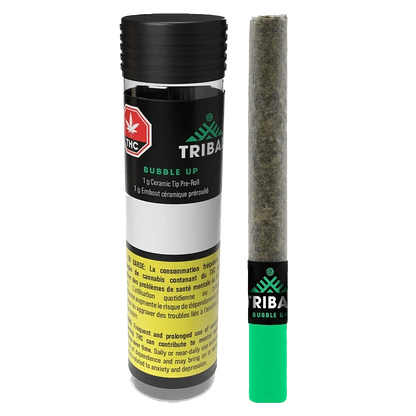 Right-side view of the Bubble Up Ceramic Tip PR 1 x 1 g pre-roll standing next to its black-lidded cylindrical tube, both shown on a white background.