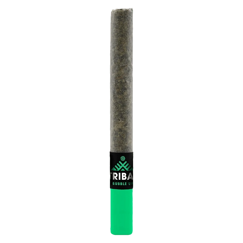 Centered vertical shot of a pre-roll with a green filter and black label reading "Bubble Up Ceramic Tip PR 1 x 1 g" showing the textured paper and glowing green tip.