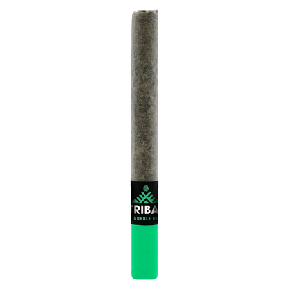 Centered vertical shot of a pre-roll with a green filter and black label reading "Bubble Up Ceramic Tip PR 1 x 1 g" showing the textured paper and glowing green tip.
