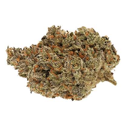 Close-up top-down view of a single dense Rotating Sativa cannabis bud showing green and purple hues with frosty trichomes and orange pistils.
