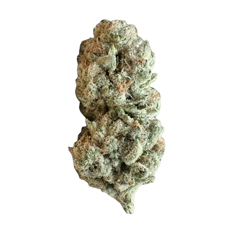 Close-up of a frosty, light-green Super G cannabis bud shown upright against a plain background.