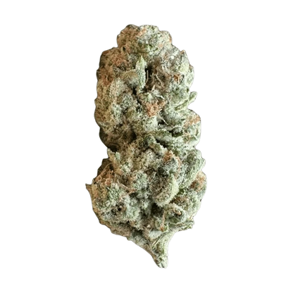Close-up of a frosty, light-green Super G cannabis bud shown upright against a plain background.