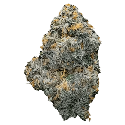 Close-up front view of a single frosty Midday Mix nug with gray-green leaves and orange hairs visible against a transparent background.