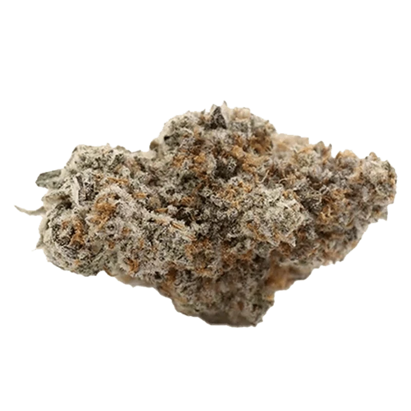 Close-up of a frosty, dense nugget of Rotating Indica photographed from the side against a plain background.