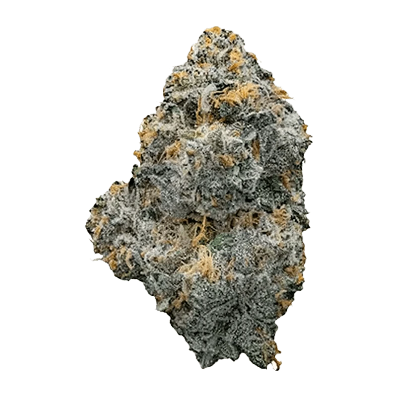 Close-up of a frosty, gray-green bud with orange hairs labeled "Midday Mix" centered on a transparent background.