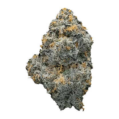 Close-up of a frosty, gray-green bud with orange hairs labeled "Midday Mix" centered on a transparent background.