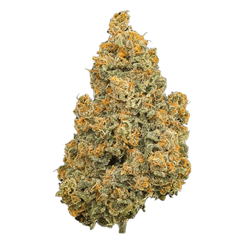 Close-up front view of a single dense bud of Organic Smalls Indica with green leaves and bright orange pistils visible.