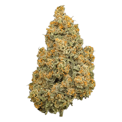 Close-up front view of a single dense bud of Organic Smalls Indica with green leaves and bright orange pistils visible.