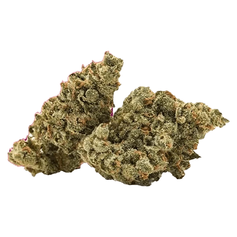 Close-up front view of two dense Banjo cannabis buds with frosty trichomes and orange pistils against a plain white background
