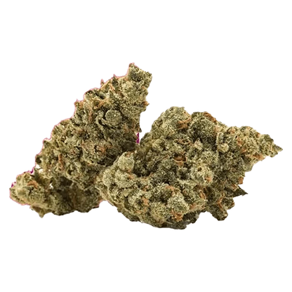 Close-up front view of two dense Banjo cannabis buds with frosty trichomes and orange pistils against a plain white background