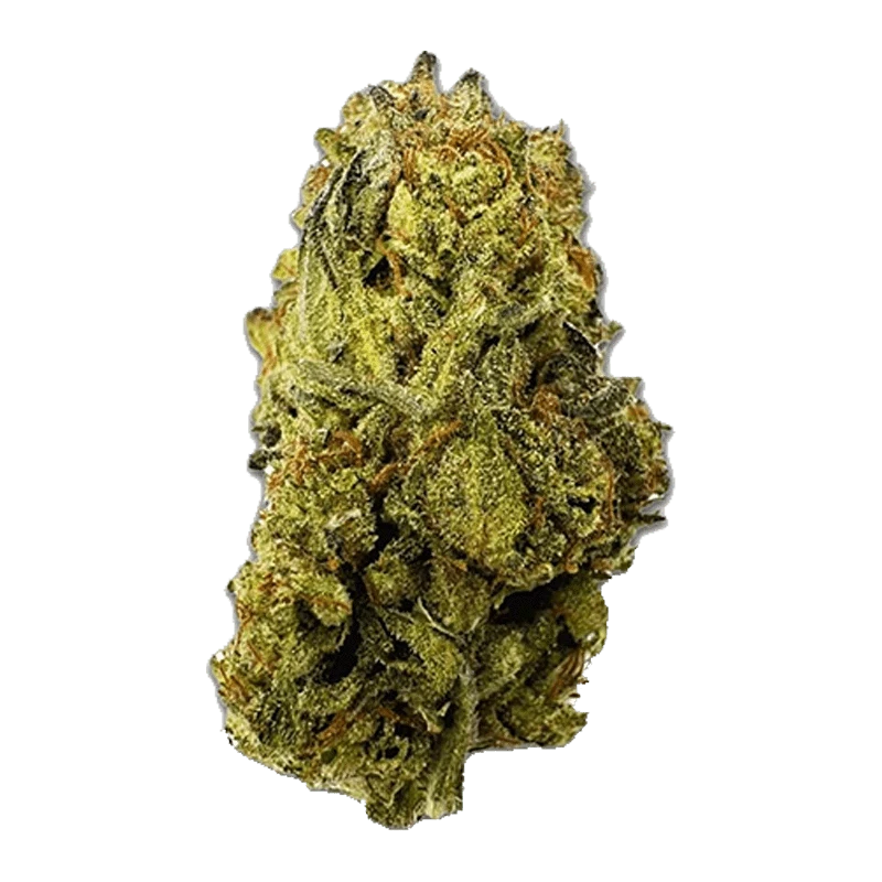 Close-up front view of a single dense Pineapple OG cannabis bud showing bright green and amber trichome-covered leaves against a plain background.