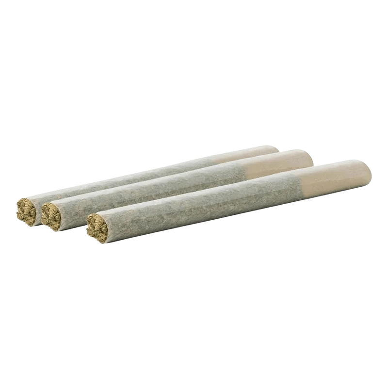 Angled close-up of three rolled joints in a row, showing packed ends and paper tips of the Sunset OG Indica PR 10 x 0.5 g.