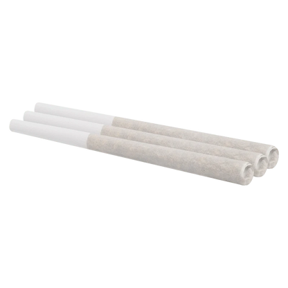 Angled close-up of three rolled Winter Frost PR 3 x 0.5 g pre-rolls laid side by side on a white background