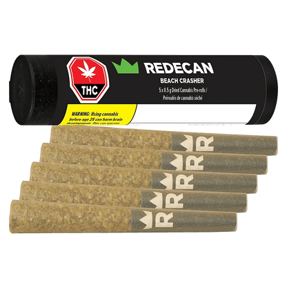 Angled front view of a black tube and six brown pre-rolls arranged in a staggered row, labeled "Redecan Beach Crasher PR 5 x 0.5 g."