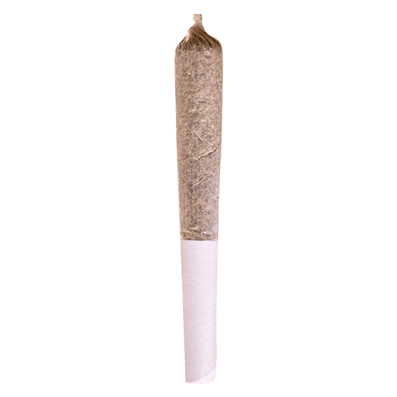 Centered vertical close-up of an Apple Fritter PR 1 x 0.5 g pre-rolled joint against a plain white background.