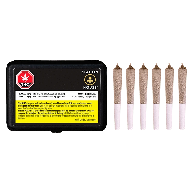 Black rectangular tin labeled "Station House Jack Herer PR 6 x 0.5 g" shown front-on with six pre-rolled joints lined up to its right on a white background