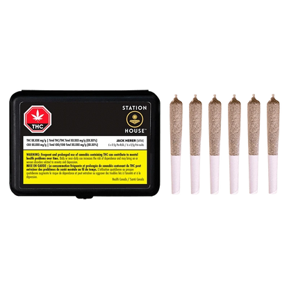 Black rectangular tin labeled "Station House Jack Herer PR 6 x 0.5 g" shown front-on with six pre-rolled joints lined up to its right on a white background