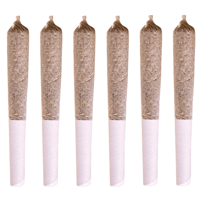 Six evenly spaced front-facing pre-rolls in a row, showing the paper tips and packed brown herb of Jack Herer PR 6 x 0.5 g.