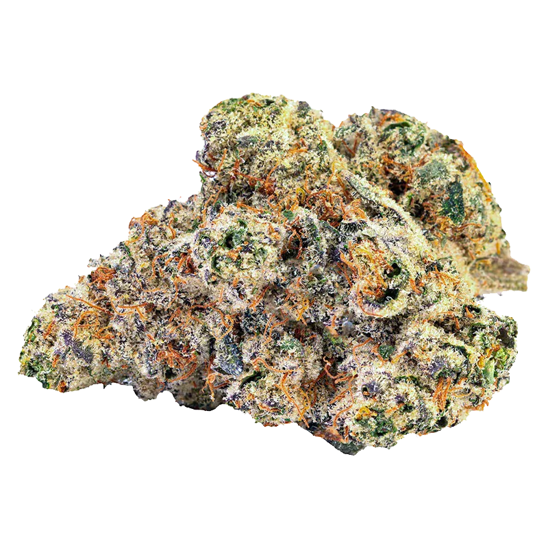 Close-up of the crystalline "Blue Pavé" cannabis bud showing green, purple, and orange hairs against a white background.