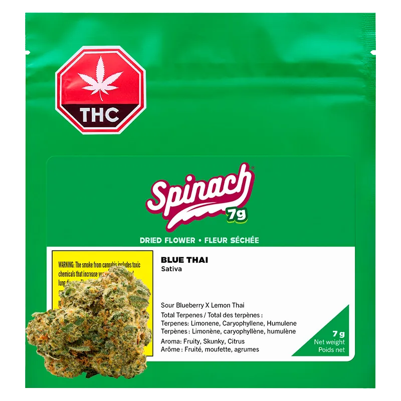 Front-facing shot of the green Spinach Blue Thai package with a white label, THC symbol top-left, and a nugget photo at the lower-left.