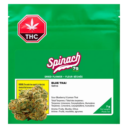 Front-facing shot of the green Spinach Blue Thai package with a white label, THC symbol top-left, and a nugget photo at the lower-left.