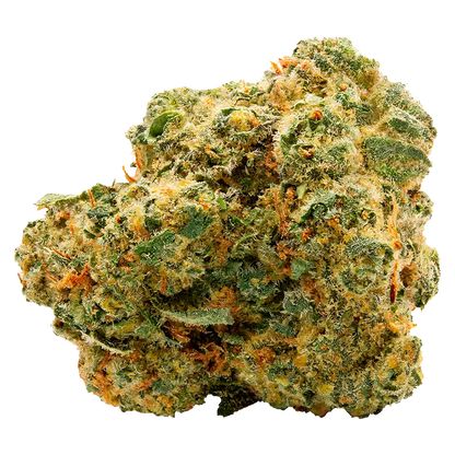 Close-up front view of a dense, frosty Blue Thai cannabis bud showing vibrant green leaves, orange pistils, and crystalline trichomes.