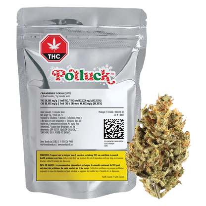 Front-facing silver pouch and loose bud beside it showing the Potluck Cranberry Cough label, warning panel, and a close-up of the green-orange flower.