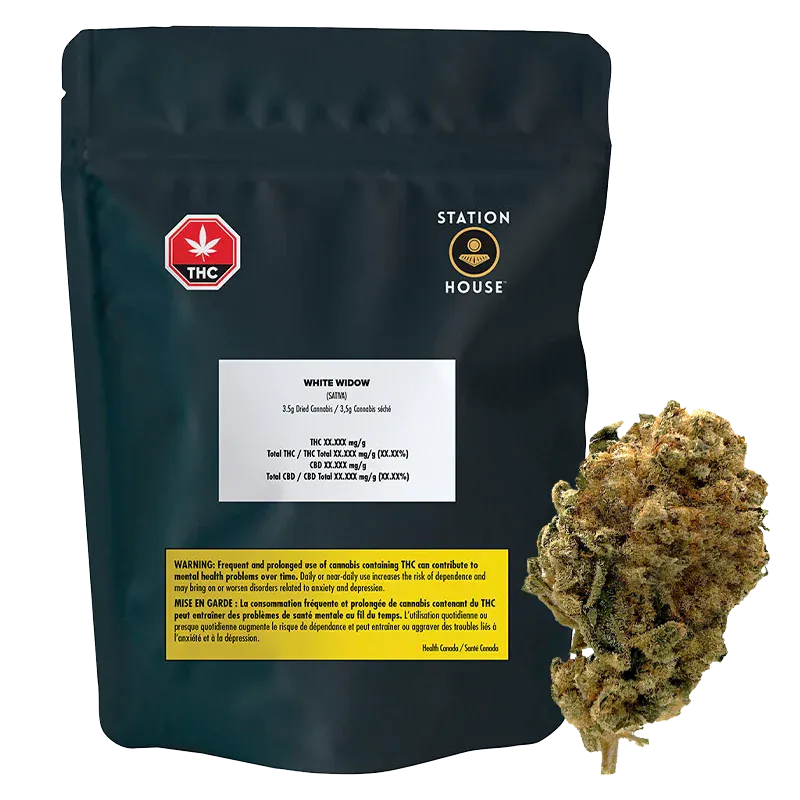 Station House 3.5 g White Widow Flower