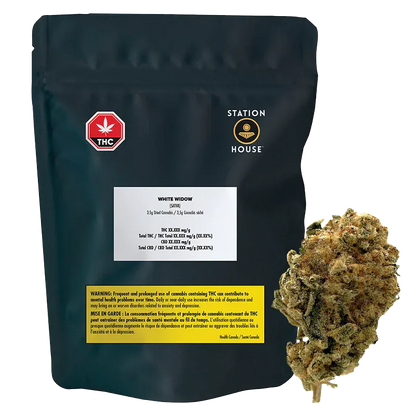 Station House 3.5 g White Widow Flower