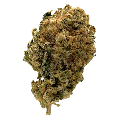 Station House 3.5 g White Widow Flower