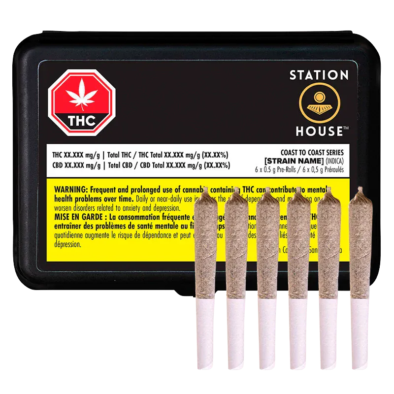 Front view of a black tin and six pre-rolled joints arranged upright in front of it, labeled Coast To Coast Series PR 6 x 0.5 g.