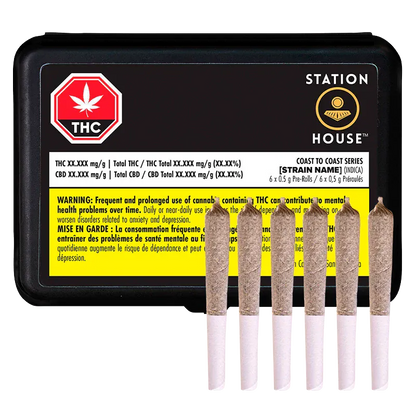 Front view of a black tin and six pre-rolled joints arranged upright in front of it, labeled Coast To Coast Series PR 6 x 0.5 g.