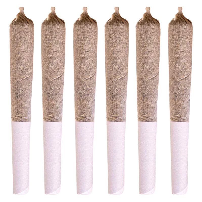 Top-down view of six evenly spaced Coast To Coast Series PR 6 x 0.5 g pre-rolls standing upright against a white background.