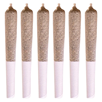 Top-down view of six evenly spaced Coast To Coast Series PR 6 x 0.5 g pre-rolls standing upright against a white background.