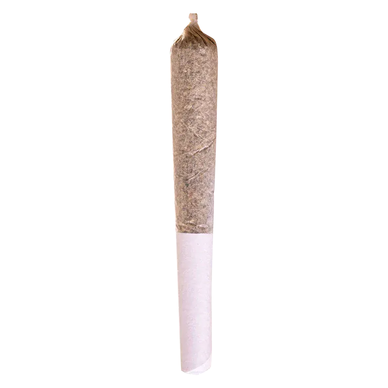 Top-down view of a rolled joint on white background labeled Mac And Cheese PR 1 x 0.5 g showing the twisted tip and paper filter.