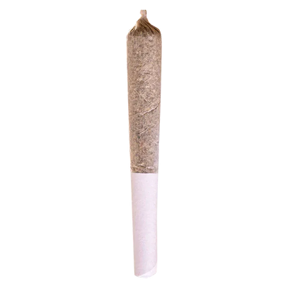 Top-down view of a rolled joint on white background labeled Mac And Cheese PR 1 x 0.5 g showing the twisted tip and paper filter.