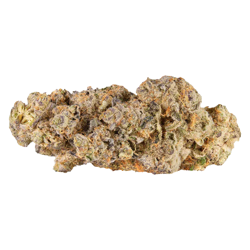 Close-up of a single dense Cherry Cheesecake bud showing frosty trichomes, purple and green tones, and orange hairs against a white background.