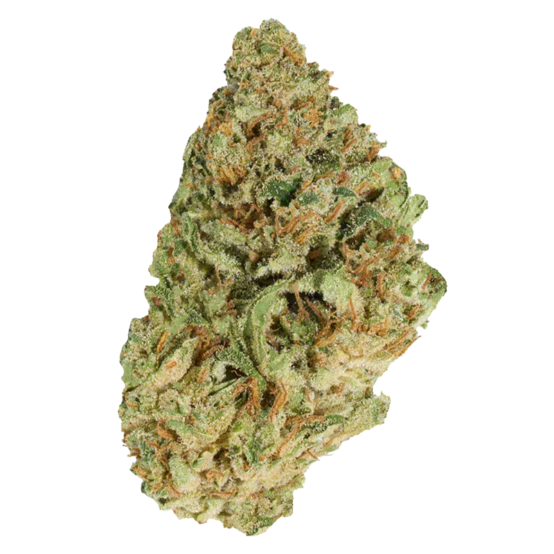 Close-up top-down view of a single frosty green and orange bud labeled Jean Guy, showing dense trichomes and curled leaves against a white background.