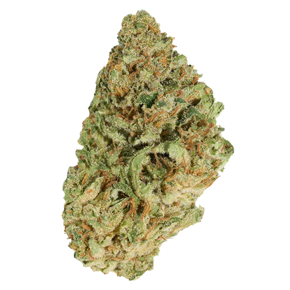 Close-up top-down view of a single frosty green and orange bud labeled Jean Guy, showing dense trichomes and curled leaves against a white background.
