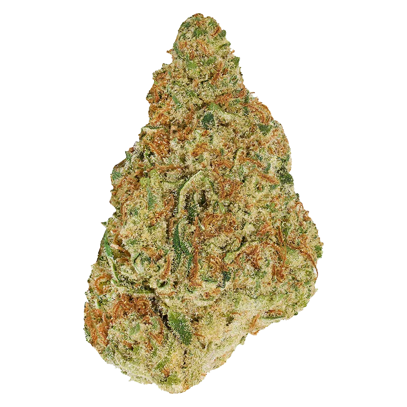 Top-down close-up of a single dense bud of Winter Frost, showing green and orange hairs dusted with crystalline trichomes against a white background.
