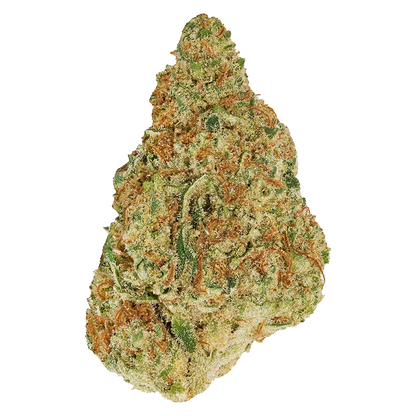 Top-down close-up of a single dense bud of Winter Frost, showing green and orange hairs dusted with crystalline trichomes against a white background.