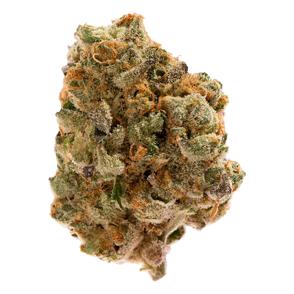 Close-up of a frosty, orange-haired bud labeled Dutch Treat against a clean white background.